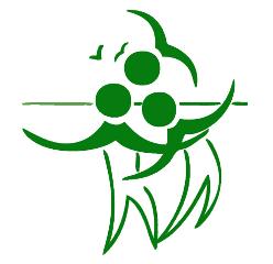 Votre site 